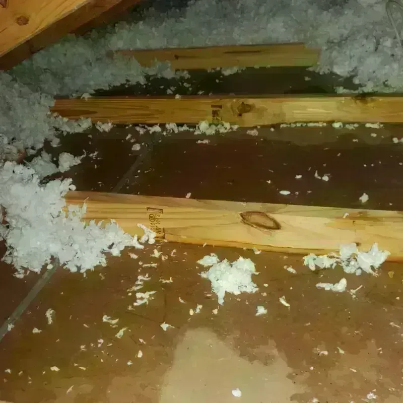 Attic Water Damage in Hancock, MI